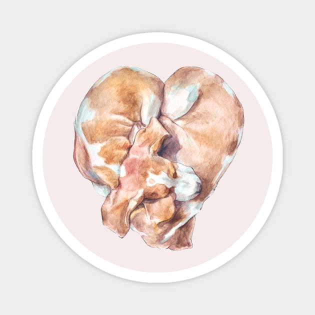 Follow Your Heart Snuggling Beagles Magnet by stuckyillustration